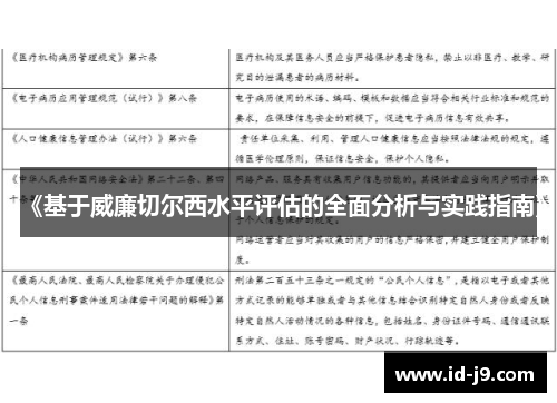 《基于威廉切尔西水平评估的全面分析与实践指南》