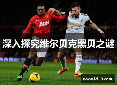 深入探究维尔贝克黑贝之谜